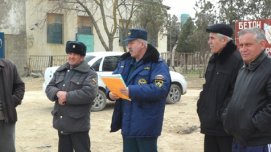article12210.jpg