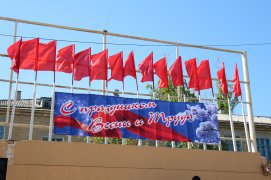 article14637.jpg