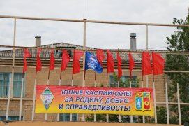 article15146.jpg