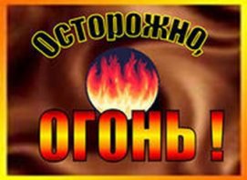 article20431.jpg