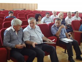 article21308.jpg