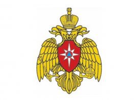 article23413.jpg