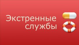 article23979.jpg