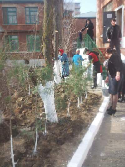 article31799.jpg