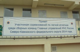 article31997.jpg