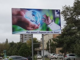article32504.jpg
