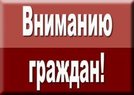 article32615.jpg