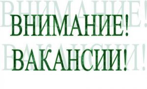 article32753.jpg
