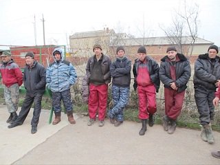 article32823.jpg