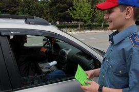 article33476.jpg