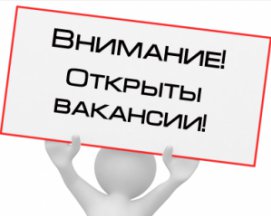 article33642.jpg
