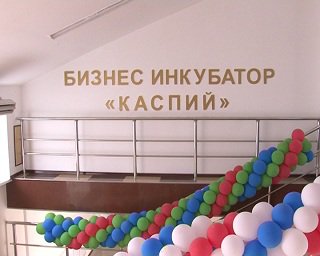 article33724.jpg