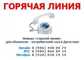 article34404.jpg
