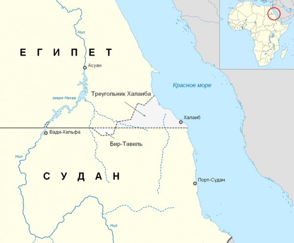 article6276.jpg