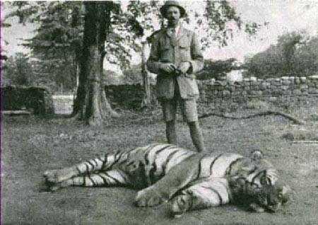 article7202.jpg