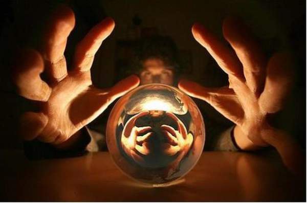 article8109.jpg