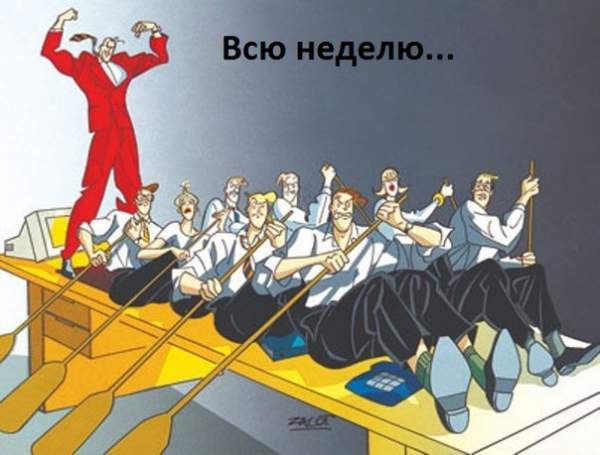 article8165.jpg