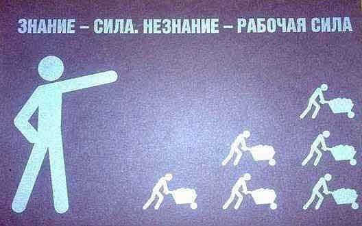 article8248.jpg