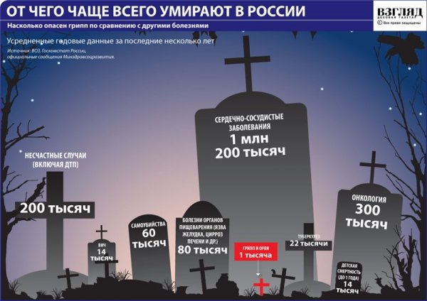 article8509.jpg