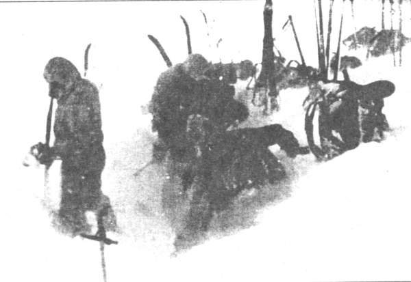 article8809.jpg