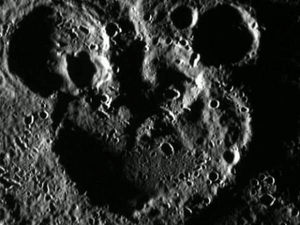 article8813.jpg