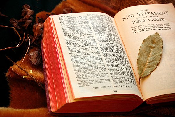 article8949.jpg