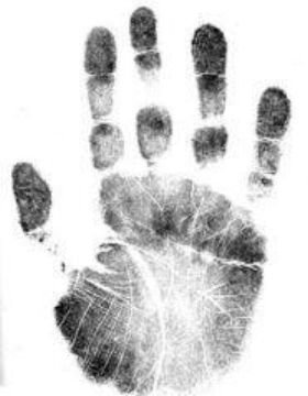 article9040.jpg
