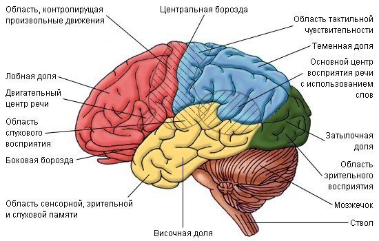article9324.jpg