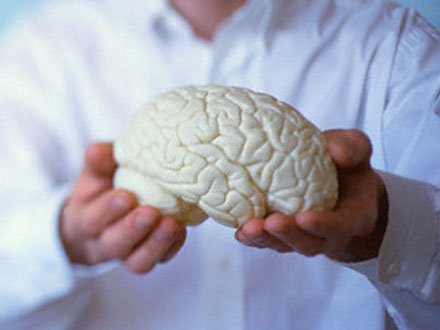 article9673.jpg